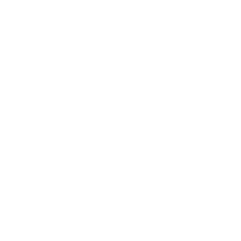 The University of Michigan